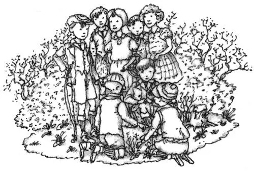 Ну ей далеко до Эллы сказала миссис Поплхэм Вы даже представить не - фото 23