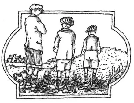 Вильям брел по дороге засунув руки в карманы вздымая носками ботинок пыль - фото 31