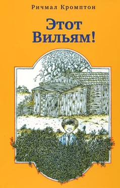 Ричмал Кромптон Этот Вильям! обложка книги