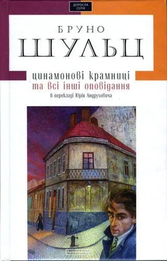 Бруно Шульц Цинамонові крамниці та всі інші оповідання в перекладі Юрія Андруховича обложка книги