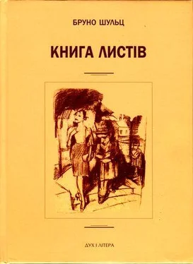 Бруно Шульц Книга листів. Уклав і підготував до друку Єжи Фіцовський обложка книги