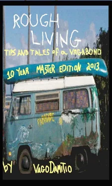Vago Damitio Rough Living обложка книги