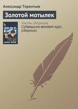Александр Терентьев Золотой мотылек обложка книги