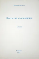 Клавдия Пестрово - Цветы на подоконнике