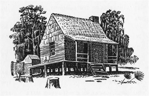 The door of the cabin was shut and there were no signs of life save the - фото 10