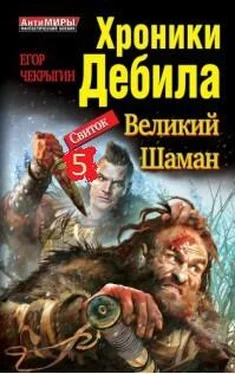 Егор Чекрыгин Хроники Дебила. Свиток 5 обложка книги