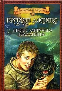 Брайан Джейкс Двое с «Летучего голландца» обложка книги