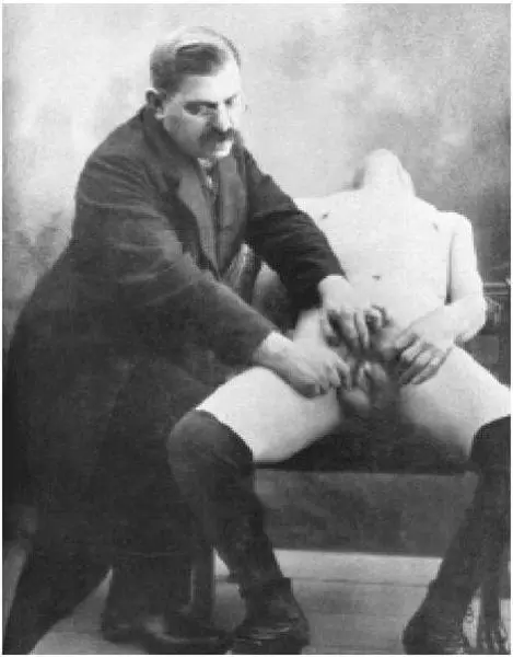Hirschfeld exhibiting a hermaphrodites genitals Paperback book on sexual - фото 198