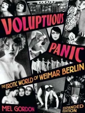 Mel Gordon Voluptuous Panic: The Erotic World of Weimar Berlin обложка книги