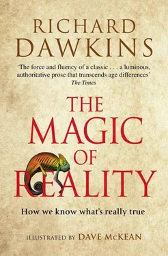 Richard Dawkins The Magic of Reality обложка книги