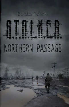 Balázs Pataki S.T.A.L.K.E.R.: Northern Passage обложка книги