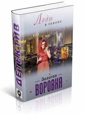 Николай Катаев Золотая воровка обложка книги