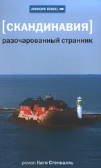 Катя Стенвалль - Разочарованный странник