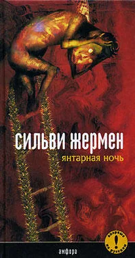 Сильви Жермен Янтарная ночь обложка книги