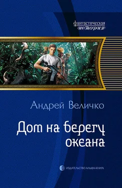 Андрей Величко Дом на берегу океана обложка книги