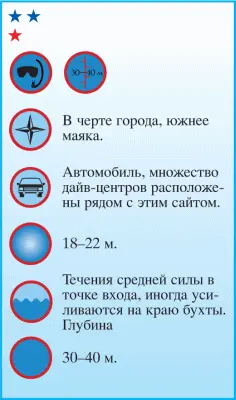 На теле гидрокостюм за плечами баллон в руках ласты один за другим лавируя - фото 31
