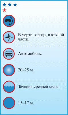 Возможно лучшее место в Дахабе для нетехнических погружений При том что - фото 34