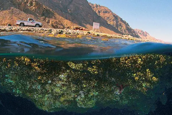 Верхняя часть пещеры находится непосредственно у точки входа на риф - фото 39