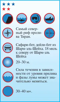 Джексон самый северный и самый известный из рифов пролива Тиран Особая его - фото 46