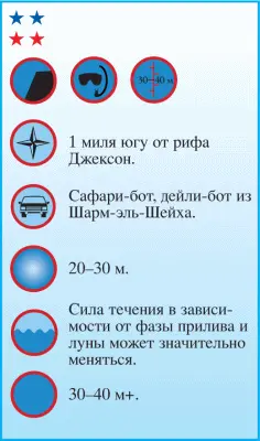 Форма рифа Вудхаус если взглянуть на него сверху очень напоминает палочку от - фото 48