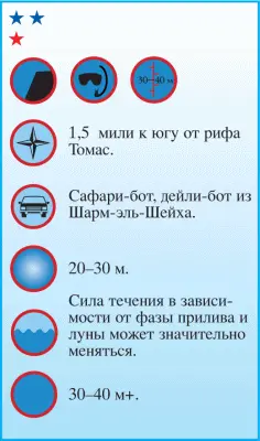 На овальный в плане риф как воротничок надето наклонное песчаное плато - фото 52