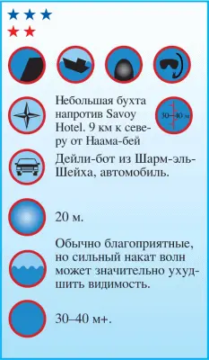 Место интересно тем что на ограниченном пространстве сосредоточено множество - фото 57