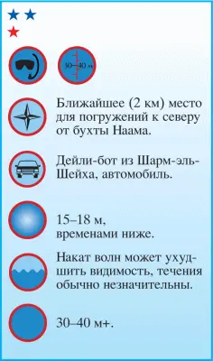 Двигаясь от места стоянки дайвбота на юг в сторону бухты Наама направление - фото 63