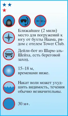 Сайт назван в честь массивной башенки из окаменевших кораллов выступающей из - фото 65