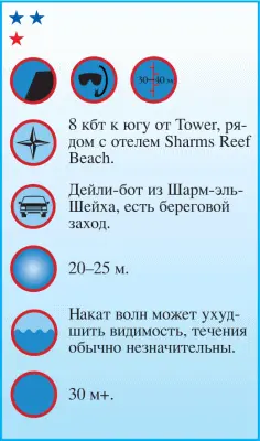 Получившее название по украшенной мягкими кораллами нежнорозового цвета стене - фото 67