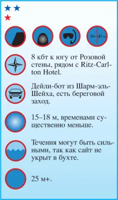 Типичная для локальных сайтов картина риф опускается вертикально на глубину - фото 69