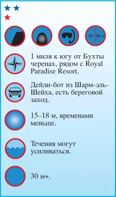 Риф представляет собой коралловую стену которая опускается до 1011 м - фото 73