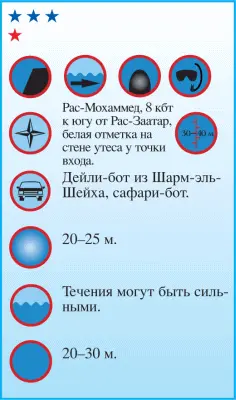 Другие названия сайта Аллея скатовхвостоколов Stingray Alley Банка Рыбака - фото 81