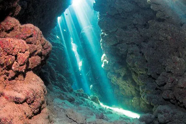 Пещера на глубине 6 м ШаркОбсерватори Shark Observatory Обсерватория - фото 82