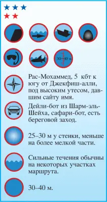 ШаркэндИоланда самый популярный подводный аттракцион индустрии дайвинга - фото 84