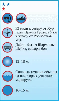 Альтернативс это цепь расположенных в ряд на глубине 1215 м коралловых - фото 88