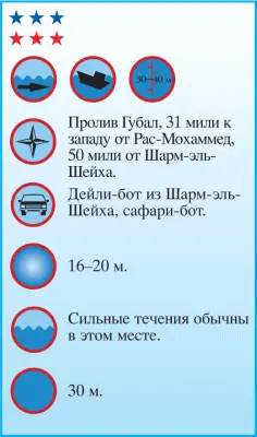 Тистлегорм самый популярный среди дайверов затонувший корабль рэк - фото 90