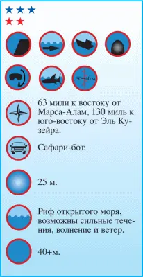 Дедалус расположенный посередине Красного моря самый уединенный риф Египта - фото 127