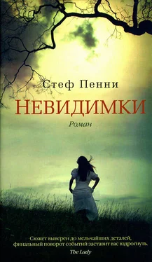 Стеф Пенни Невидимки обложка книги