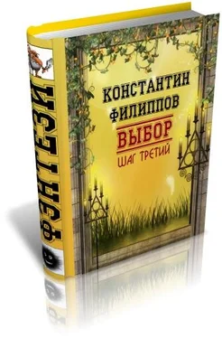 Константин Филиппов Выбор. Шаг третий обложка книги