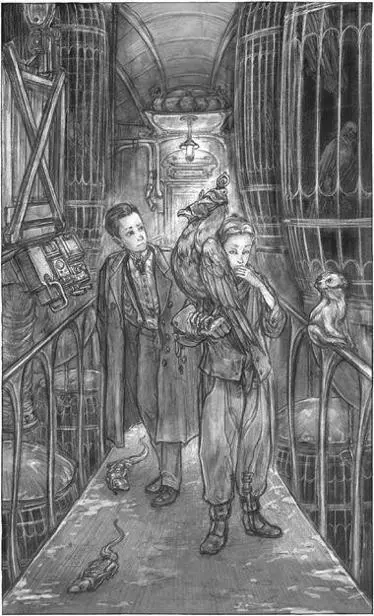 SECRETS IN THE ROOKERY Shed certainly never expected to help lead a Clanker - фото 9