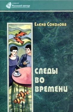 Елена Соколова Следы во времени обложка книги