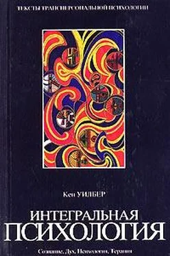 Кен Уилбер Интегральная психология. Сознание, Дух, Психология, Терапия обложка книги