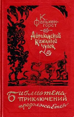 Карл Фалькенгорст Африканский Кожаный чулок обложка книги