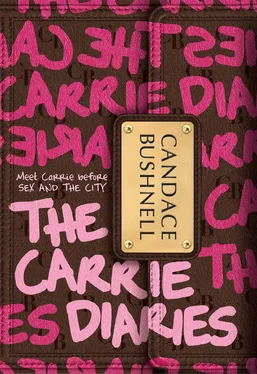 Кэндес Бушнелл Carrie Diaries обложка книги