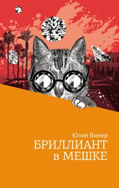 Юлия Винер Бриллиант в мешке обложка книги