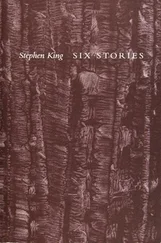 Стивен Кинг - Слепой Вилли