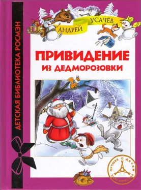 Андрей Усачев Привидение из Дедморозовки обложка книги