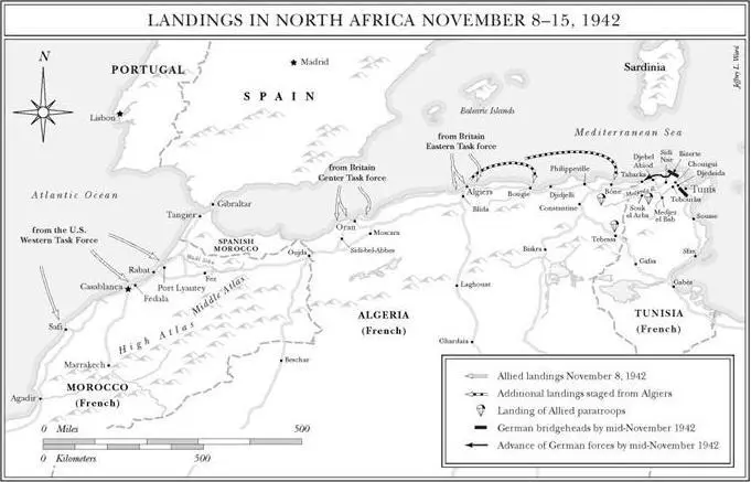 Americans and Britons landed in North Africa on November 8 a couple weeks - фото 28