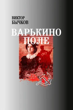 Виктор Бычков Варькино поле обложка книги