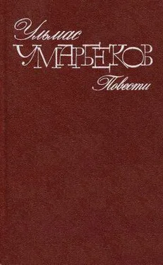 Ульмас Умарбеков Слепой дождь обложка книги